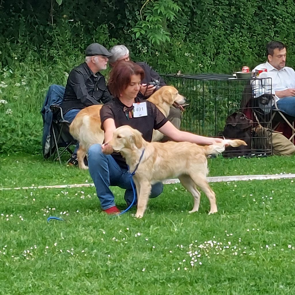 De La Cuvée Des Golden Boss - bebe 2026