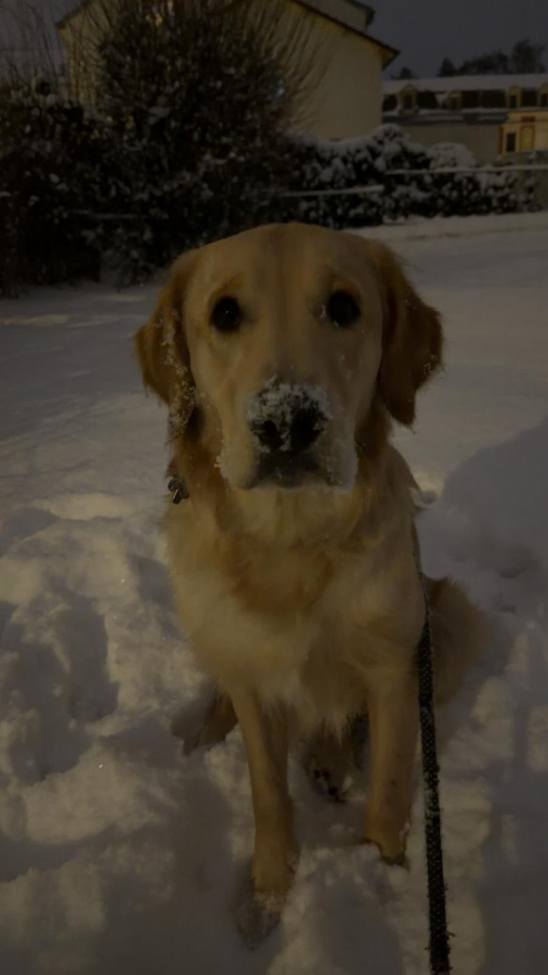 Nos bébés et adultes dans leur famille